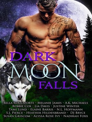 cover image of Dark Moon Falls